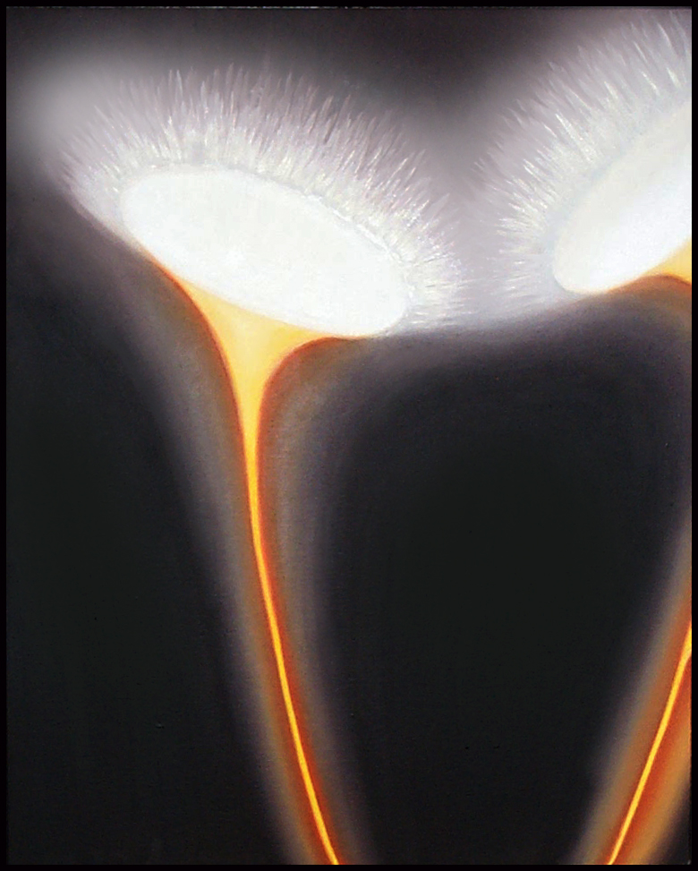 Gemälde, Öl auf Holz; Hintergrund Schwarz, darauf zu sehen sind zwei Lichttrompeten, die einander zugeneigt sind. Die Lichtstrahlen der Lichtkegel berühren sich. Man ahnt, dass die langen dünnen Enden der orange leuchtenten Lichttrompeten in der Tiefe aus einem gemeinsamen Punkt entspringen.
